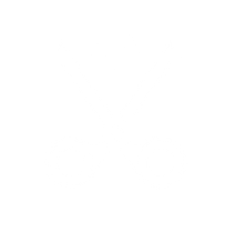 Web Monitoring Systems & Security: Security Scanning Icon