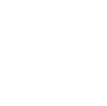 Web Monitoring Systems & Security: Security Scanning Icon
